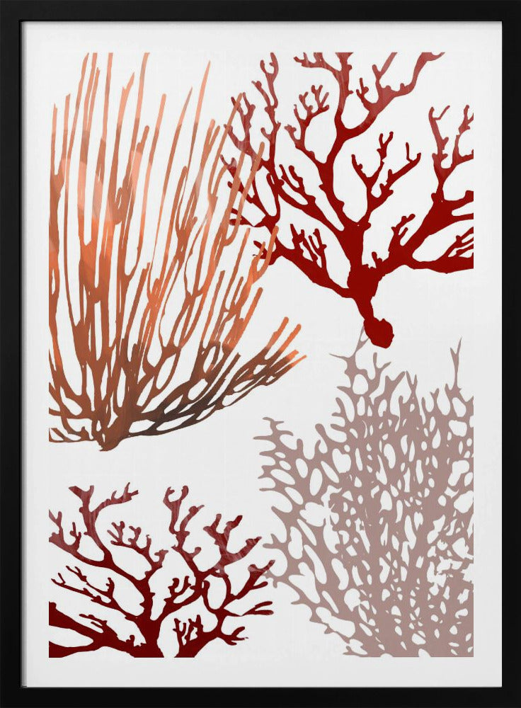 Roze en rood zeekoraal | Poster