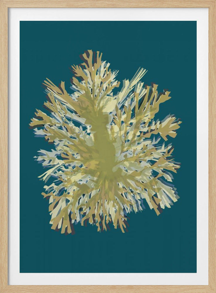 Zeewierposter 1 | Poster
