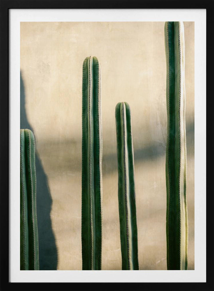 Oaxaca tinten groen | Mexico reisfotografie | Poster