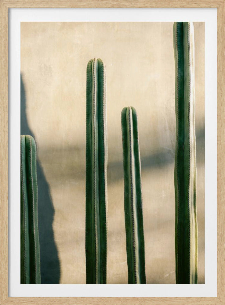 Oaxaca tinten groen | Mexico reisfotografie | Poster