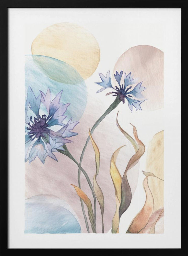 Aquarel Korenbloemen | Poster
