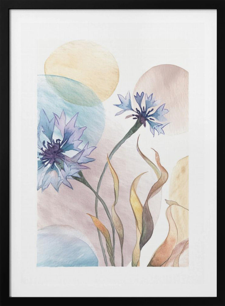 Aquarel Korenbloemen | Poster