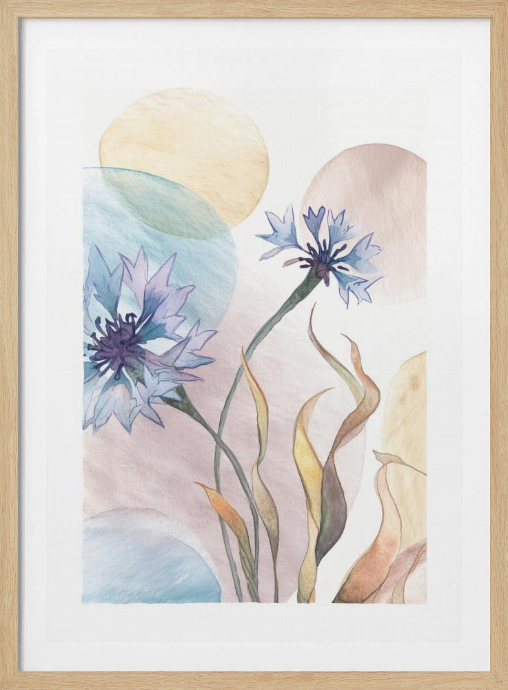 Aquarel Korenbloemen | Poster