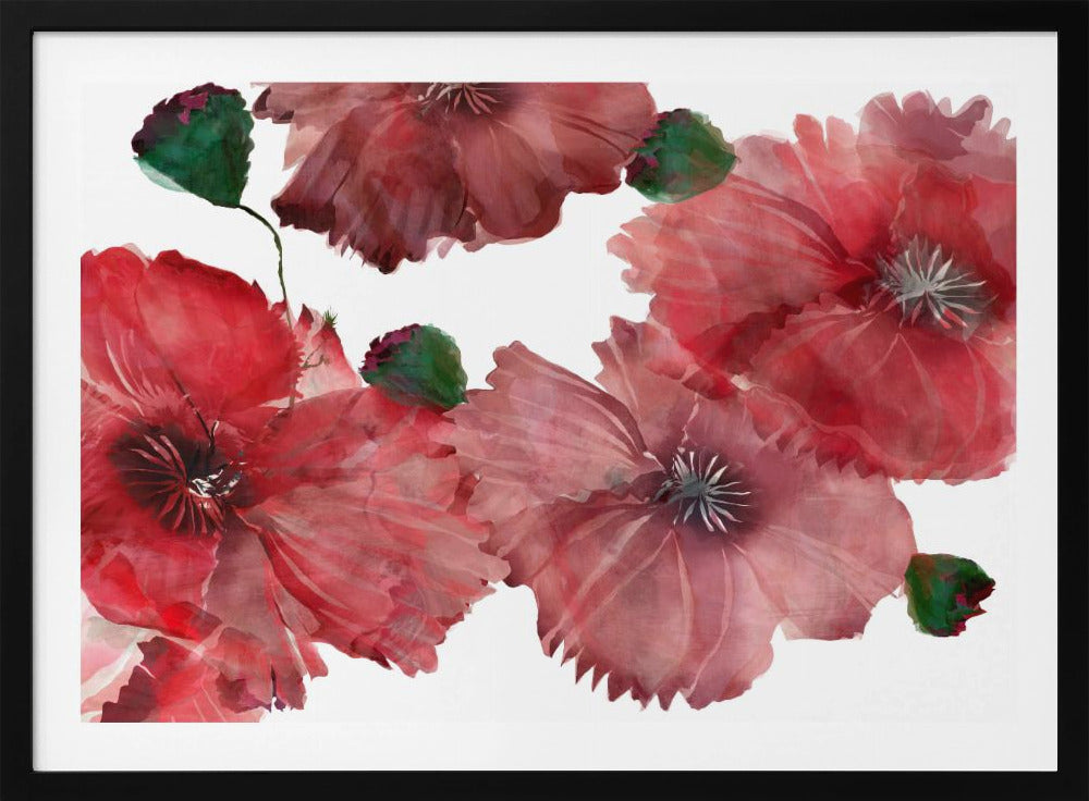 Grote rode bloemen 1 | Poster