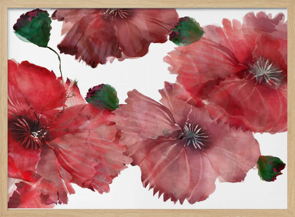 Grote rode bloemen 1 | Poster