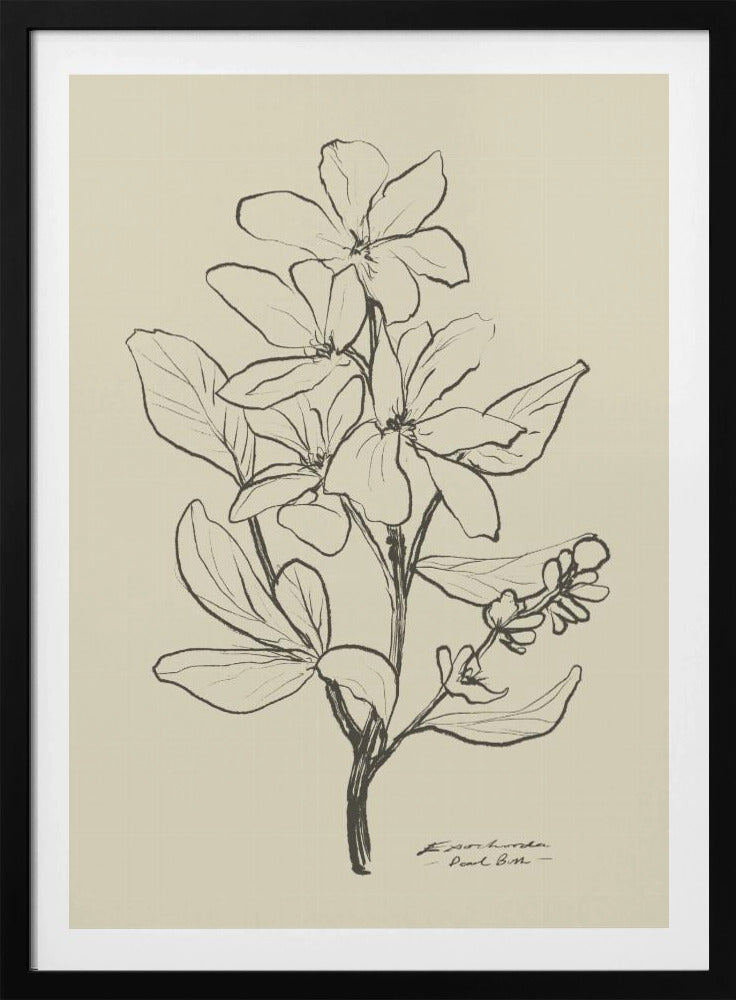 Bloemen 1 | Poster