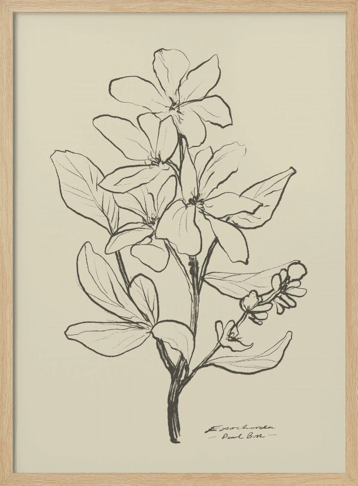 Bloemen 1 | Poster