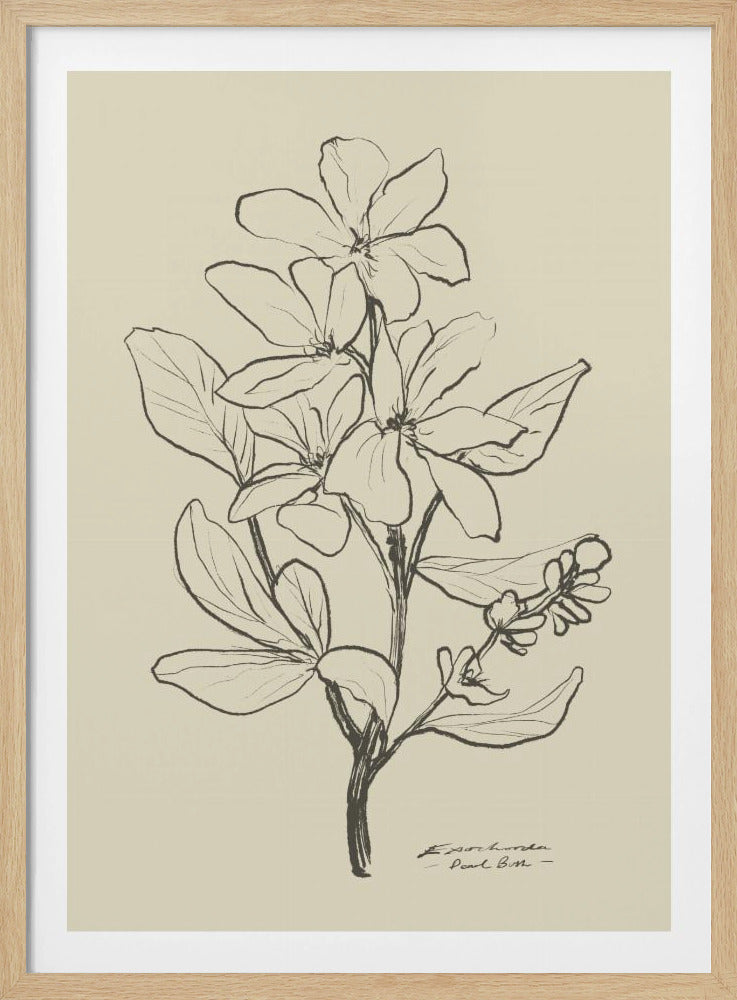 Bloemen 1 | Poster