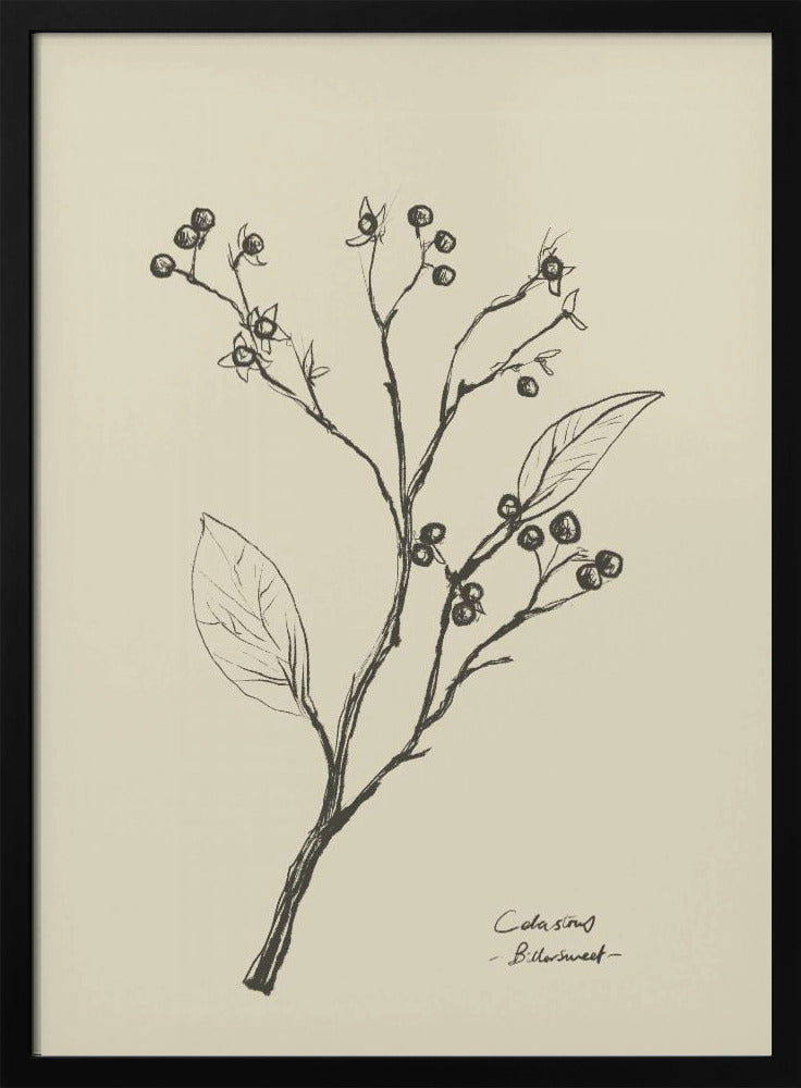 Bloemen 2 | Poster