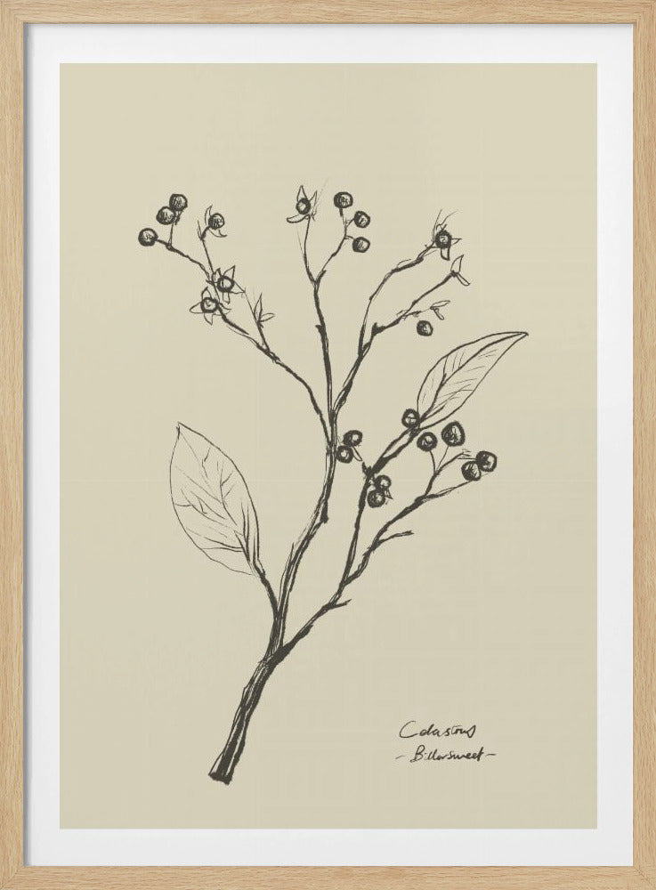 Bloemen 2 | Poster