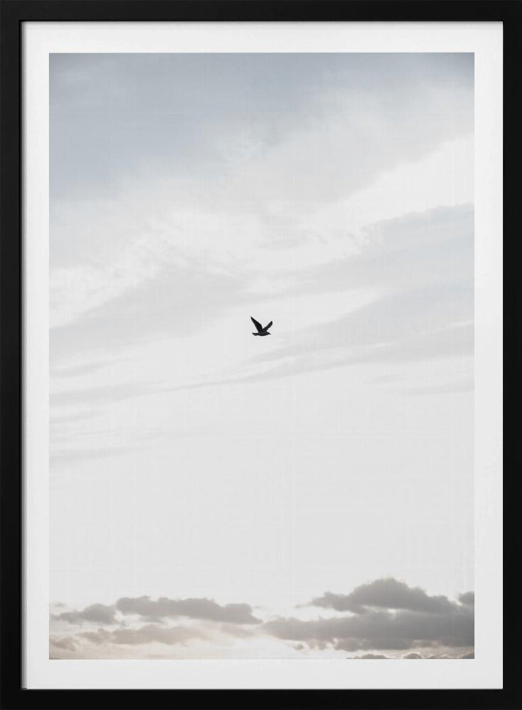 Hoog vliegen | Poster