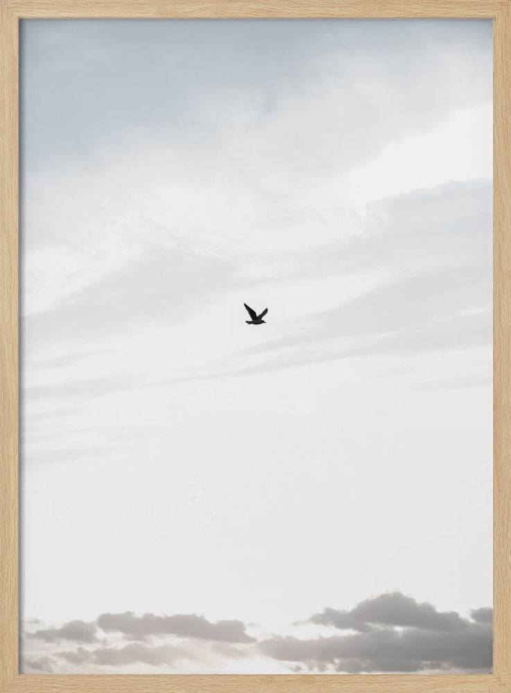 Hoog vliegen | Poster