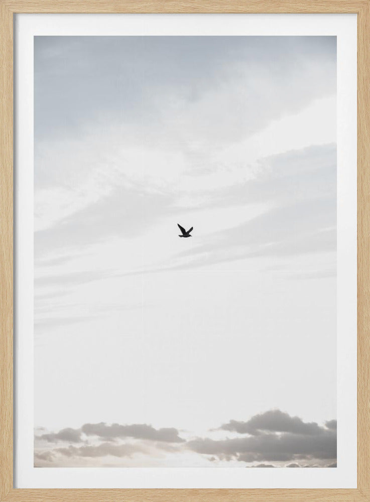 Hoog vliegen | Poster