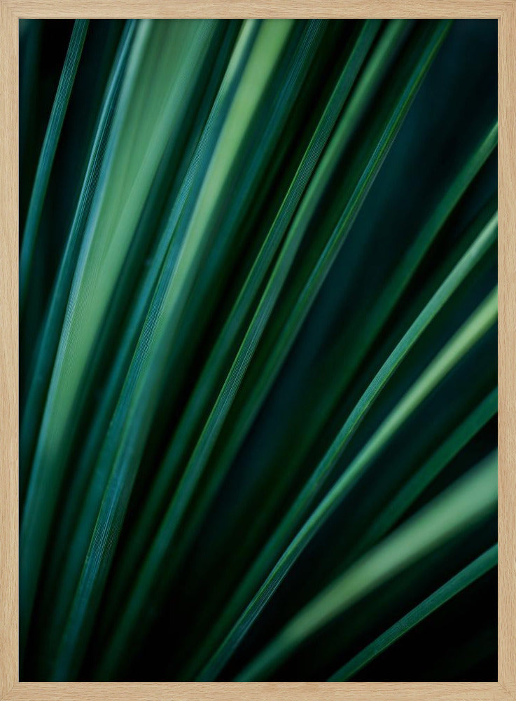 Groene rietjes 2 | Poster