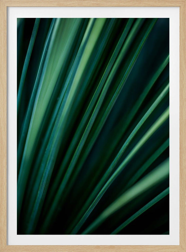 Groene rietjes 2 | Poster