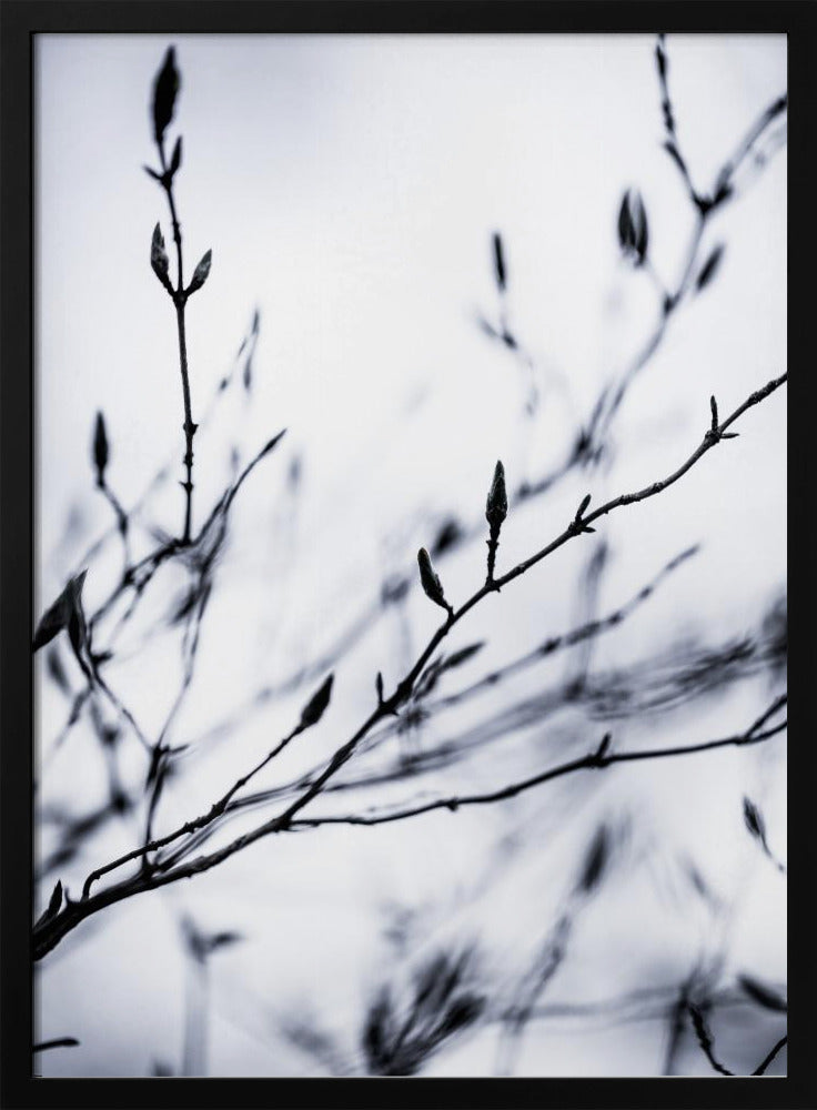 Wintertakken 2 | Poster