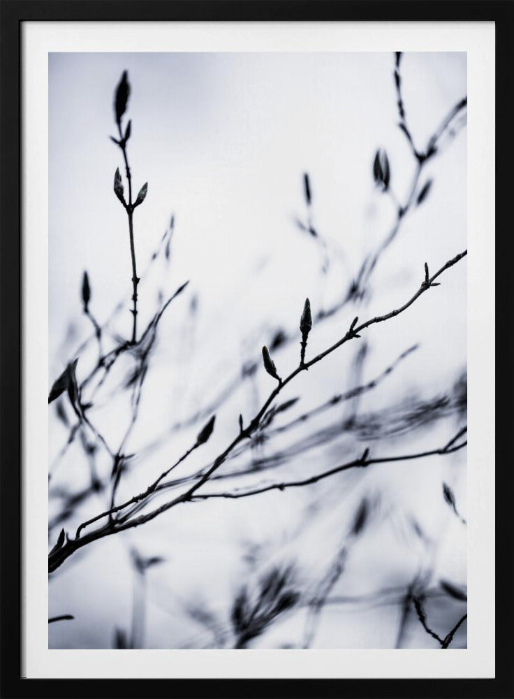Wintertakken 2 | Poster