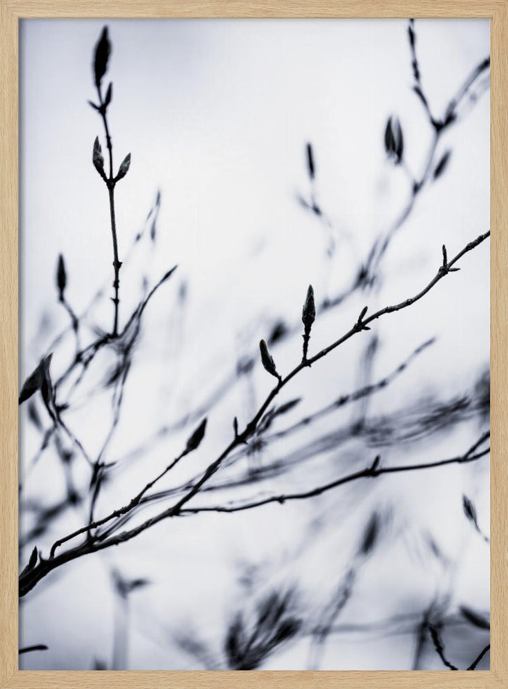 Wintertakken 2 | Poster