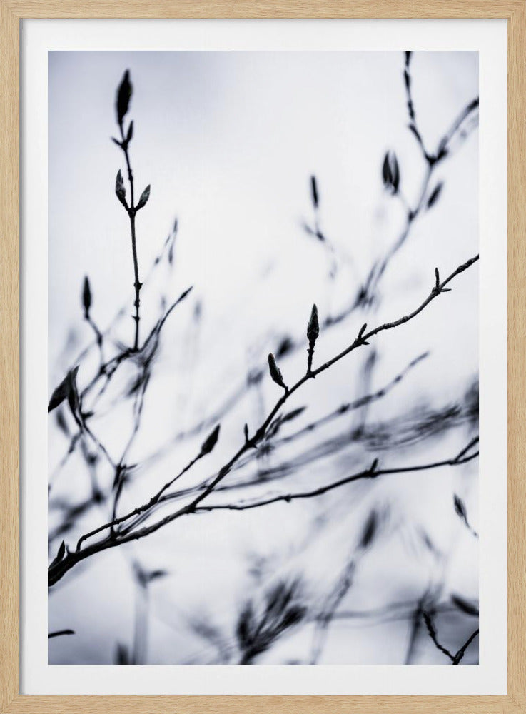 Wintertakken 2 | Poster