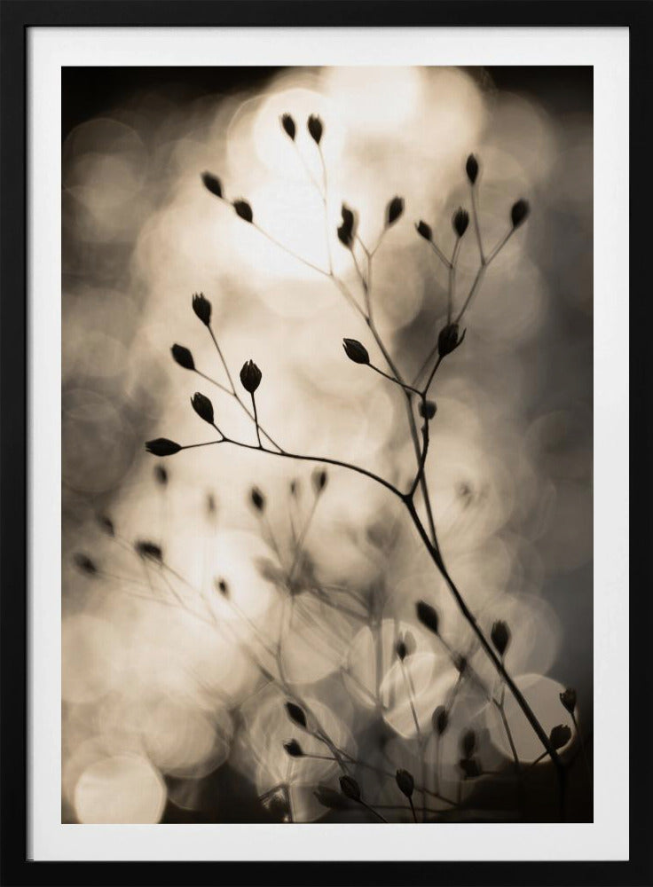 Zonnesilhouetten 1 | Poster