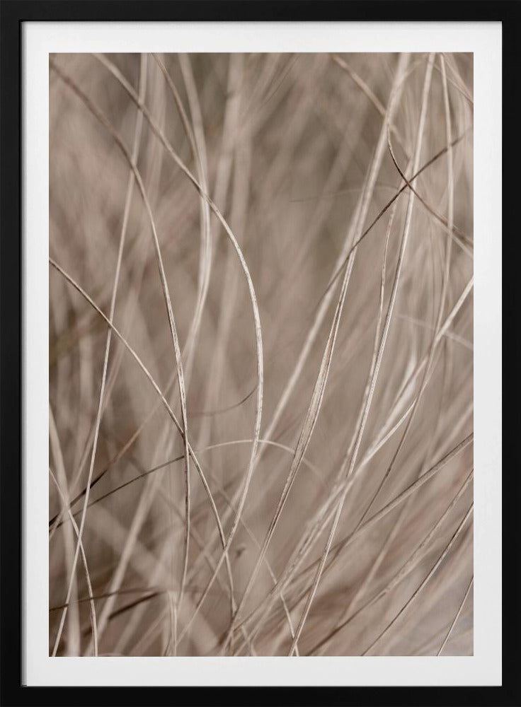 Summer Grass 3 | Poster