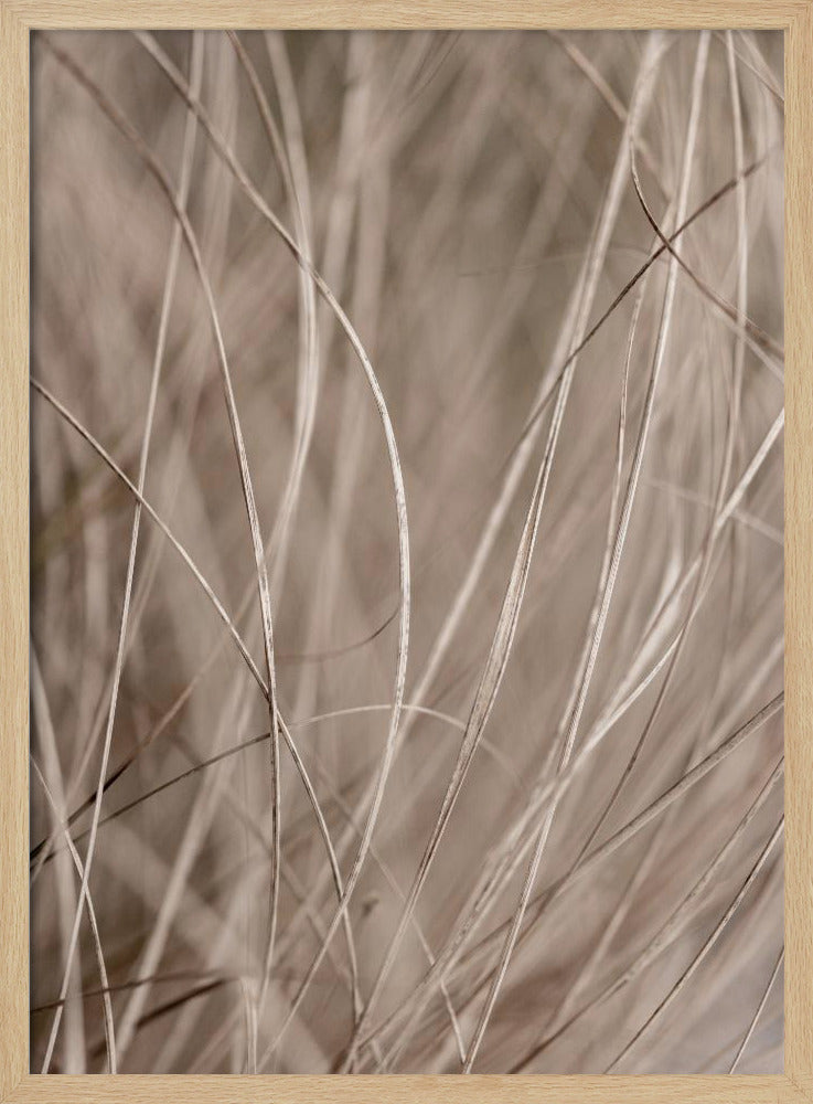 Summer Grass 3 | Poster