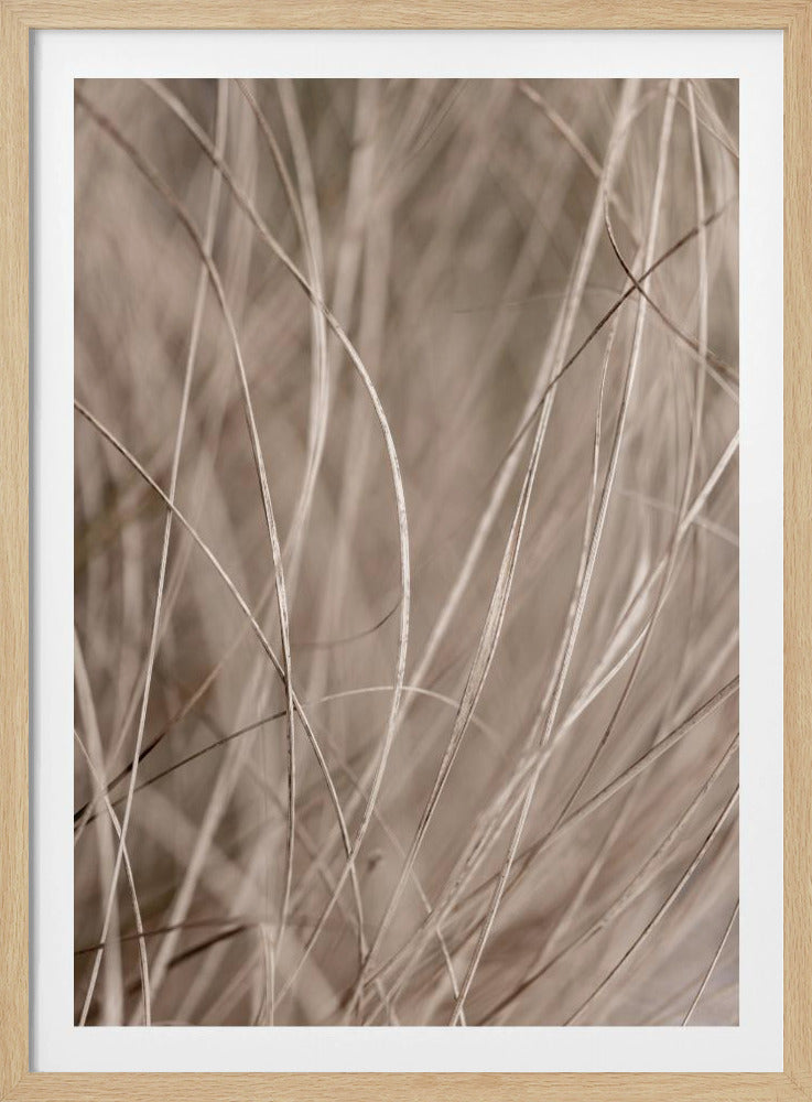Summer Grass 3 | Poster