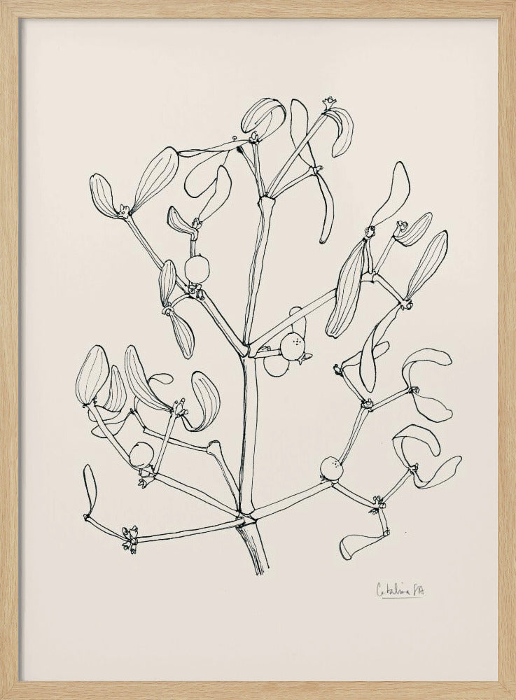 Misteltoe-inkttekening | Poster