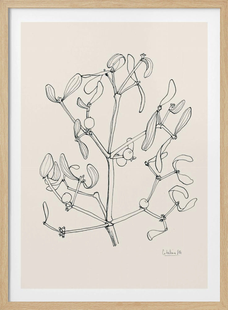 Misteltoe-inkttekening | Poster
