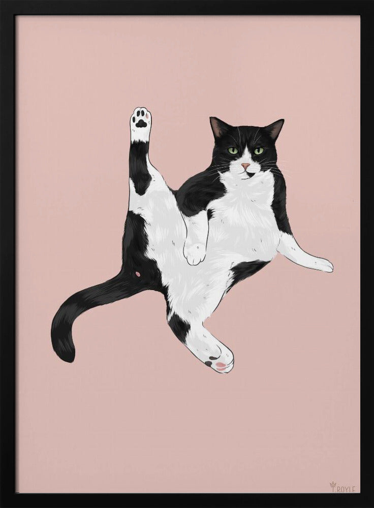 Kat in een grappige pose | Poster