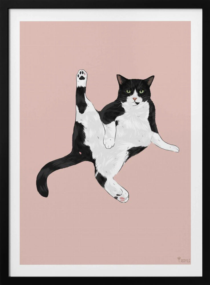 Kat in een grappige pose | Poster