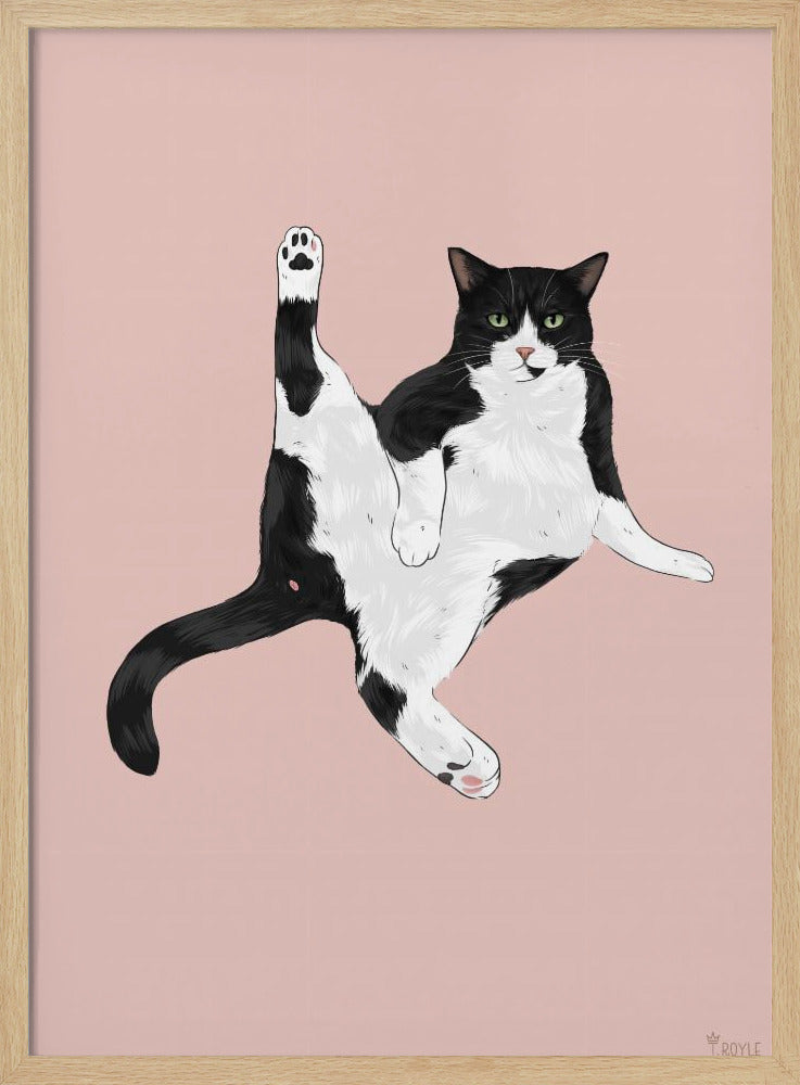 Kat in een grappige pose | Poster