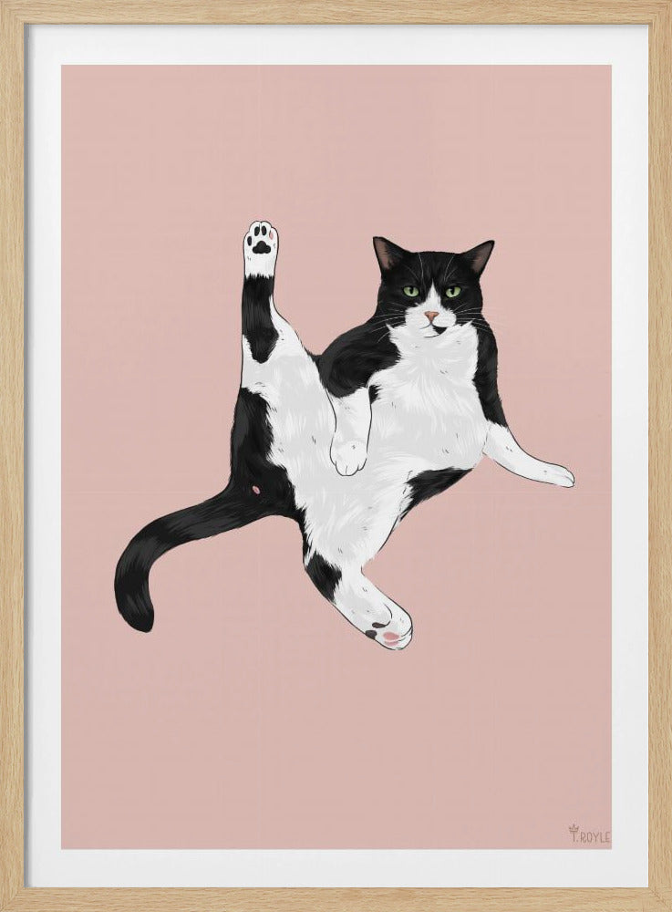 Kat in een grappige pose | Poster