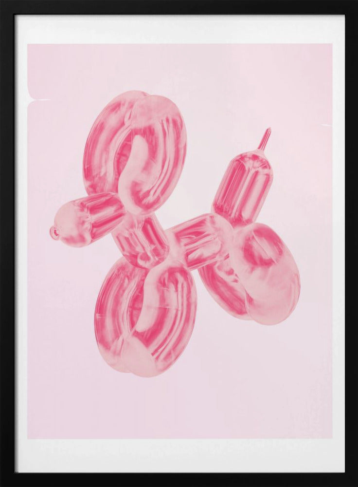 Ballonhond | Poster