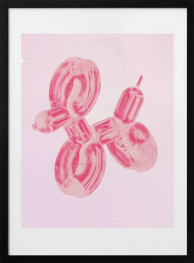 Ballonhond | Poster