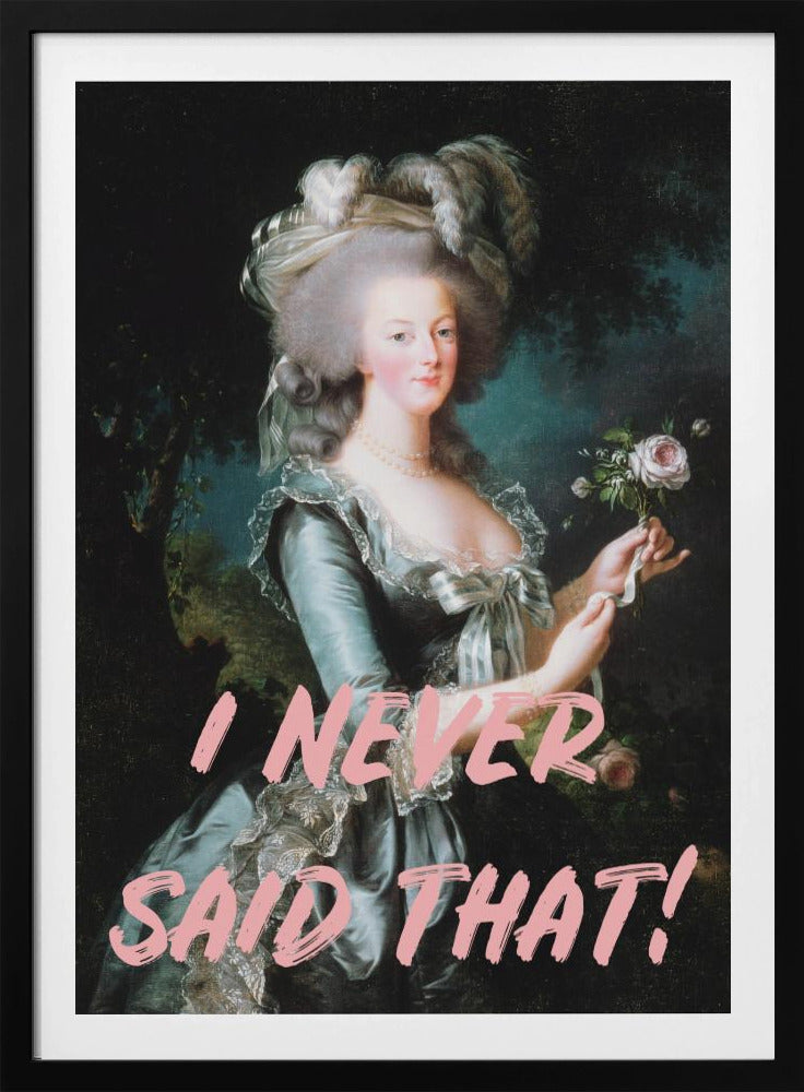 Ineversaidthat-verhouding 2x3 | Poster