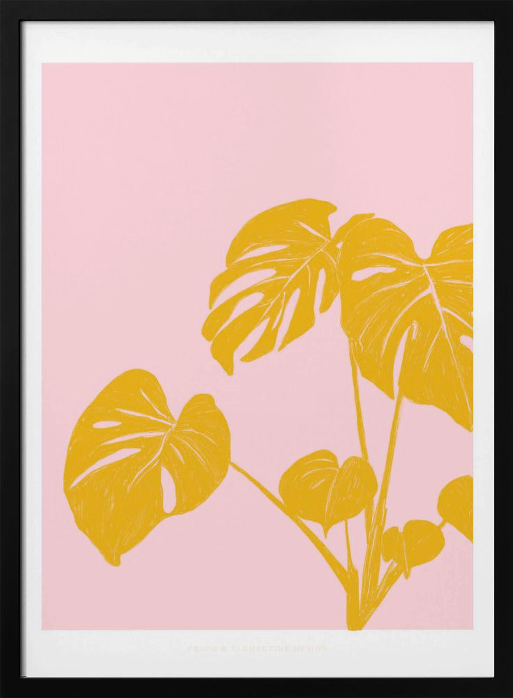 Pandc Kamerplant Exemplaar | Poster