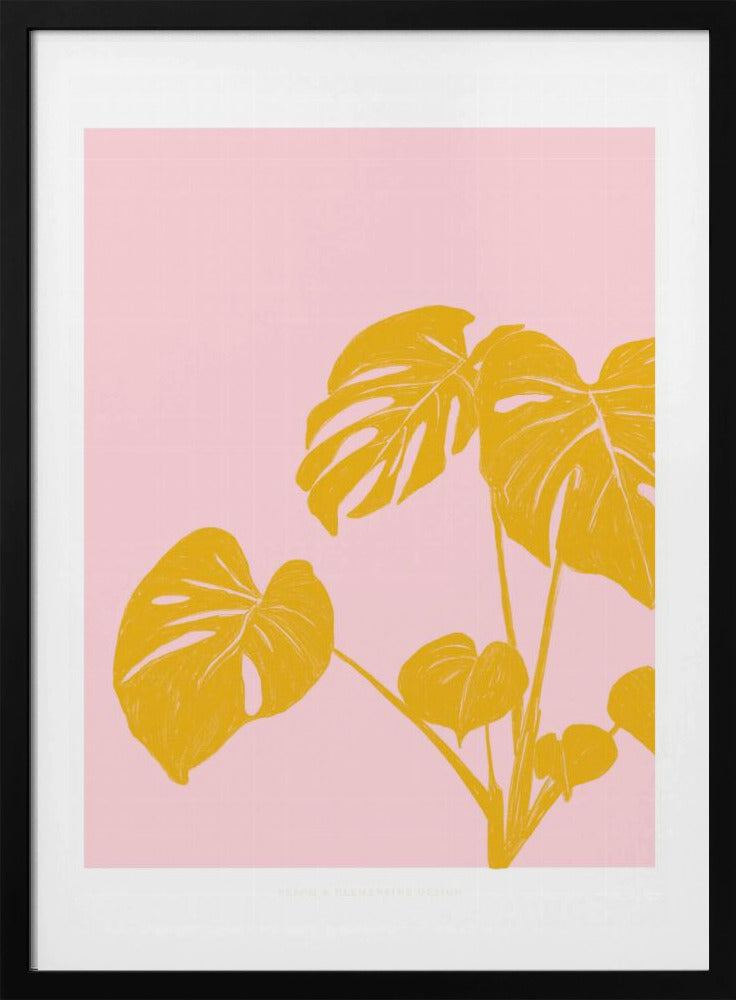 Pandc Kamerplant Exemplaar | Poster
