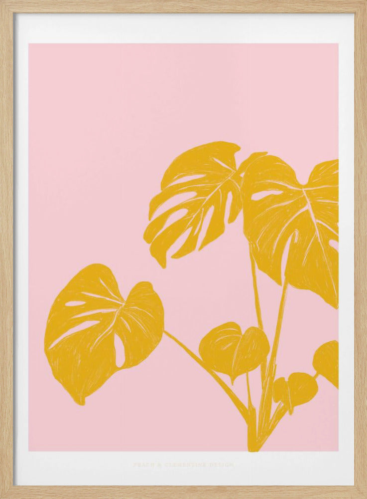 Pandc Kamerplant Exemplaar | Poster