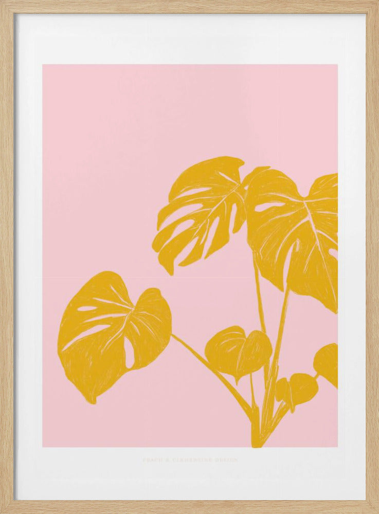 Pandc Kamerplant Exemplaar | Poster