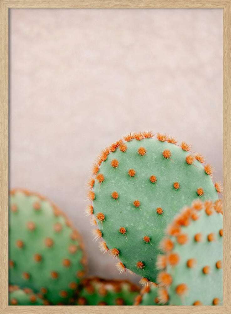 Cactussen Pasteltinten | Poster