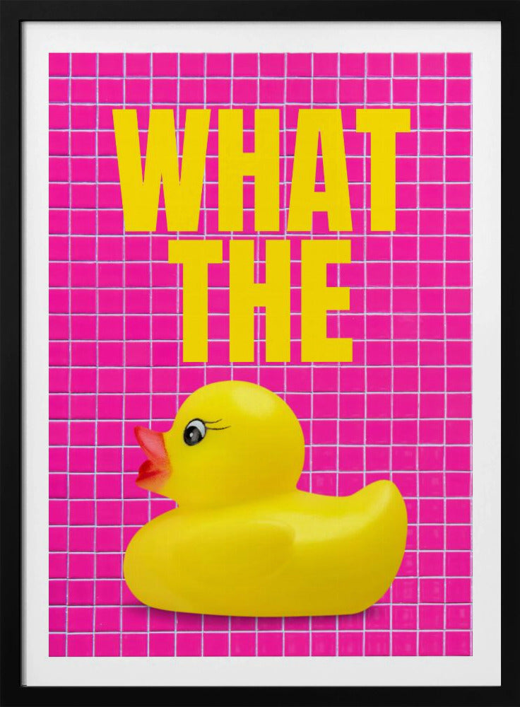 Eendenverrassing | Poster