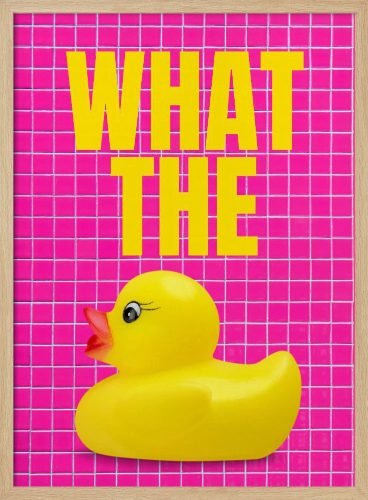 Eendenverrassing | Poster
