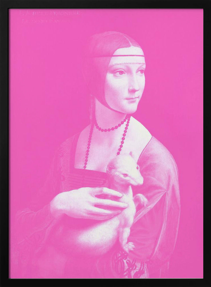 Renaissance in roze | Poster