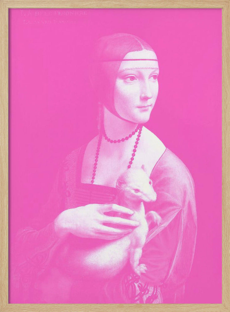 Renaissance in roze | Poster