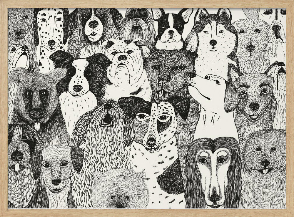 Honden | Poster