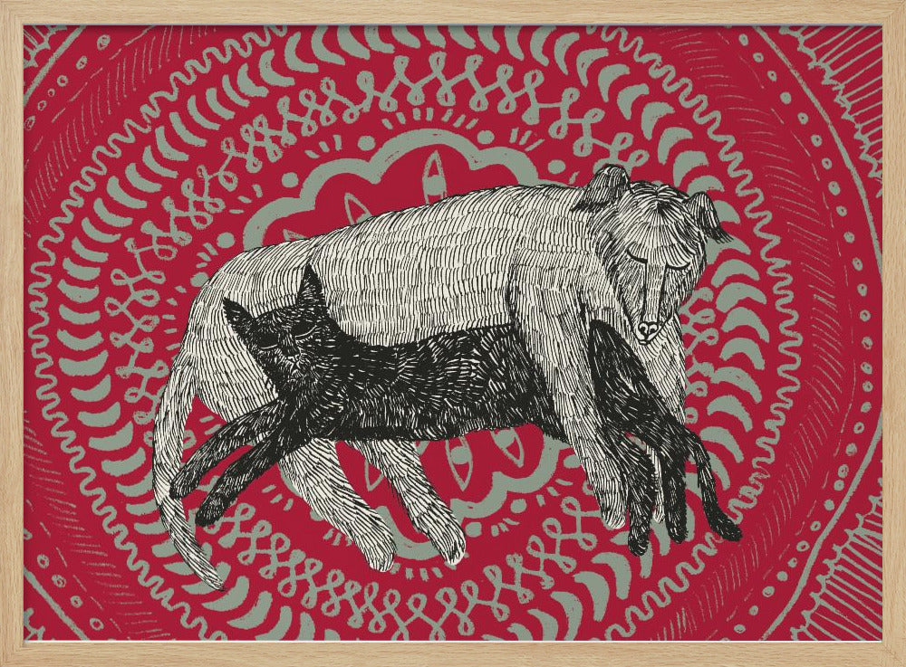 De kat en de hond | Poster