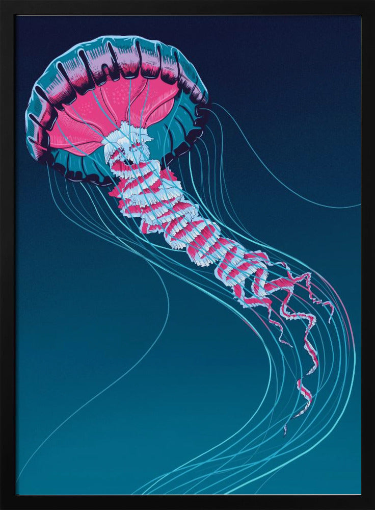 Lions Mane Jellyfish | Poster