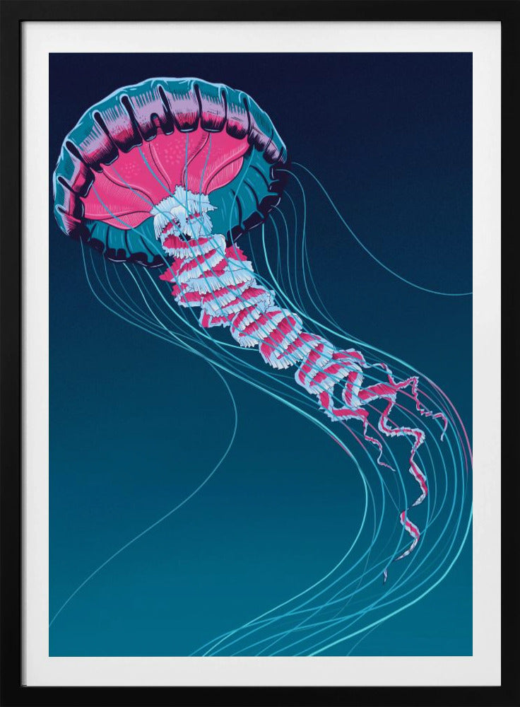Lions Mane Jellyfish | Poster