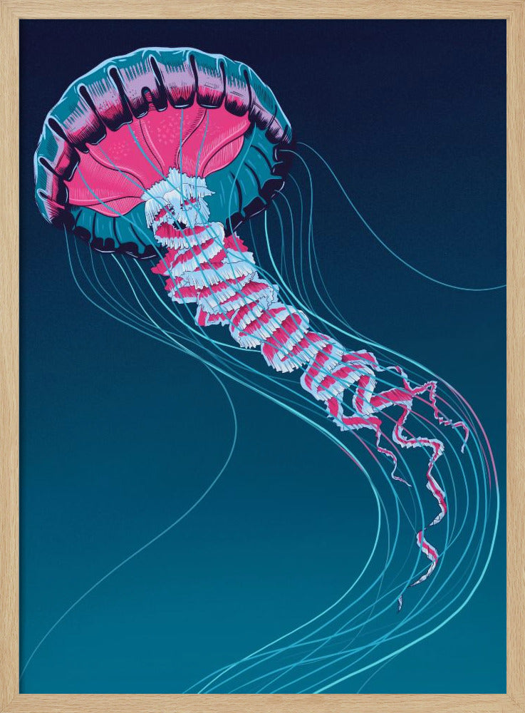 Lions Mane Jellyfish | Poster